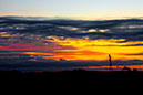 _20D0575