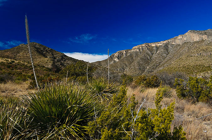 _D306477LAND