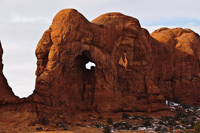 _D307017