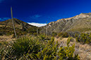 _D306477LAND