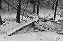 _D306575BW