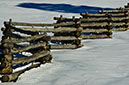 _D306794