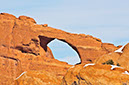 _D306901