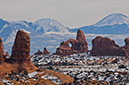 _D306979