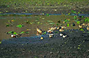 IMG00006