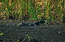 IMG00008