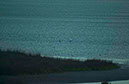 IMG00010