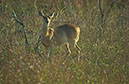 IMG00012