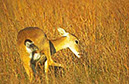 IMG00014