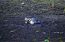 IMG00015
