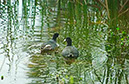 IMG00020