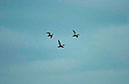 IMG00027