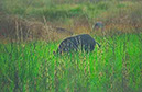 IMG00031