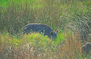 IMG00032