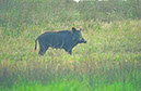 IMG00037