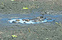IMG00044