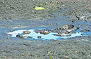 IMG00045