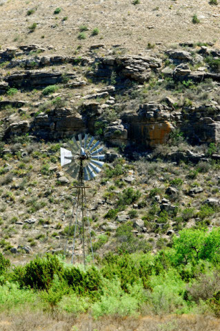DSC_0772