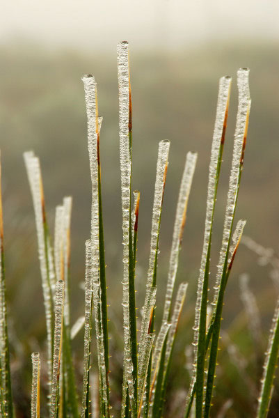 _DSC4004