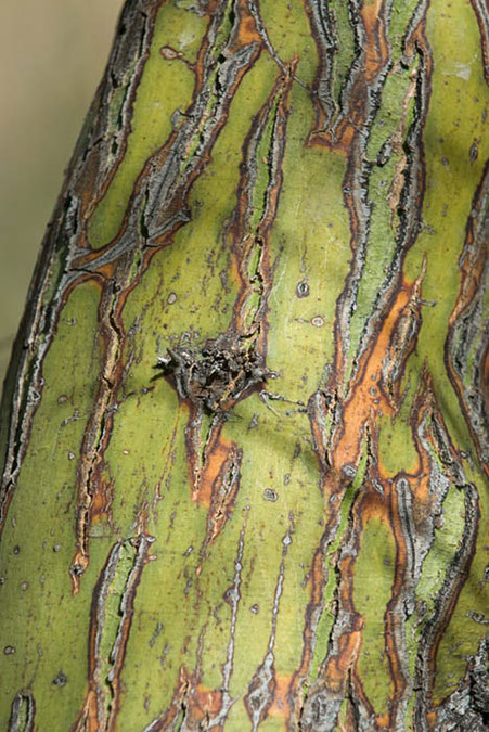 _DSC8272
