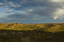 _DSC8583
