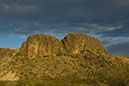 _DSC8595