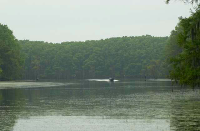 IMG00024