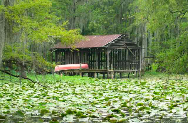 IMG00053