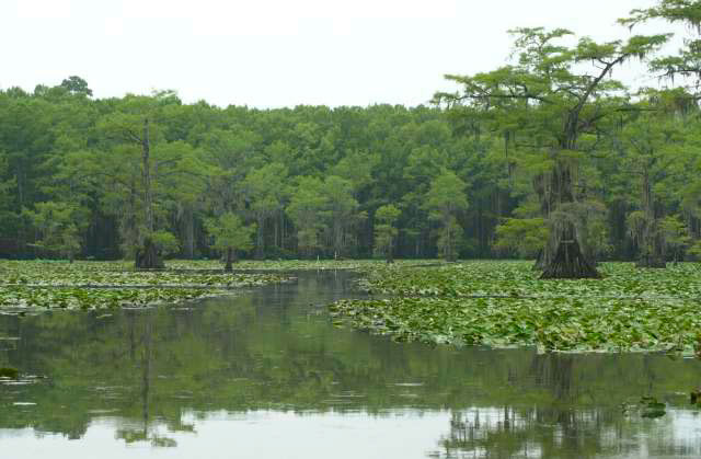 IMG00055