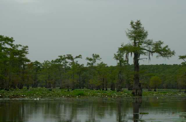 IMG00086