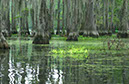 IMG00018