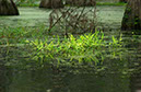 IMG00019