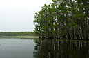 IMG00020