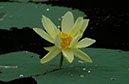 IMG00022