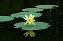 IMG00023