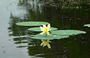 IMG00025