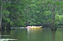 IMG00041