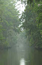 IMG00043