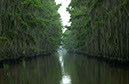 IMG00046