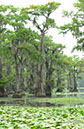 IMG00060