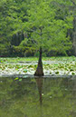 IMG00062