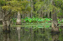 IMG00080
