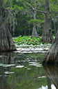 IMG00083