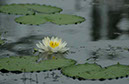 IMG00087