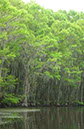 IMG00094