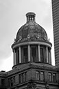 DSC_1435