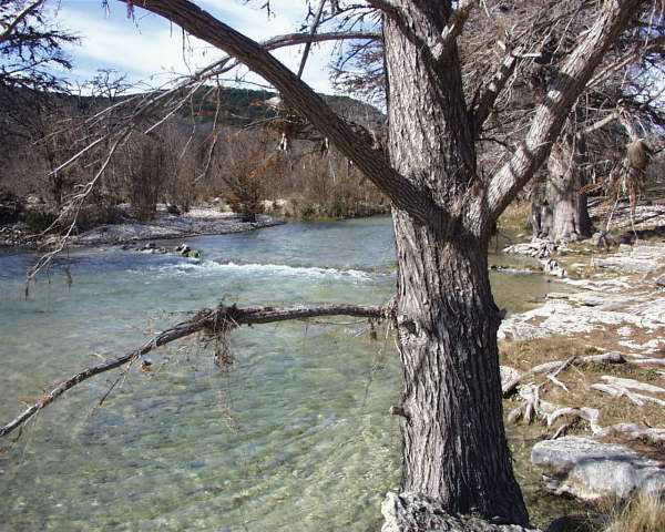 IMG00007