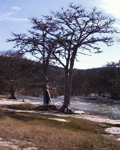 IMG00008