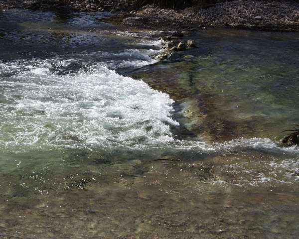 IMG00010