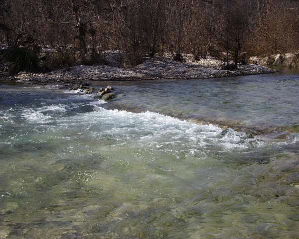 IMG00011